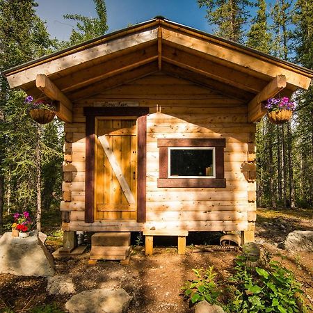 Blackburn Cabins - Mccarthy, Alaska Exterior photo