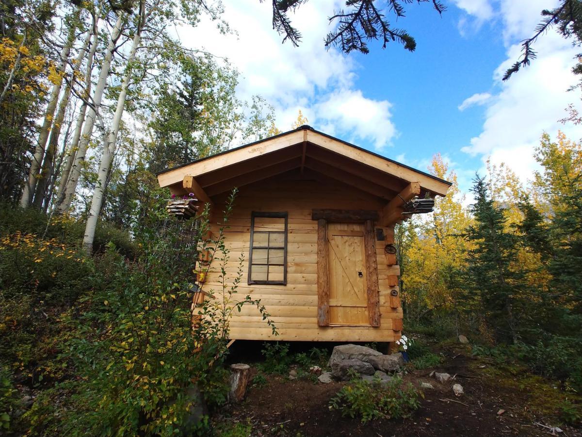 Blackburn Cabins - Mccarthy, Alaska Exterior photo