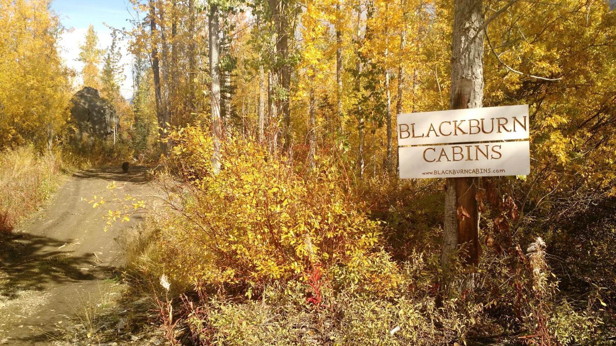Blackburn Cabins - Mccarthy, Alaska Exterior photo