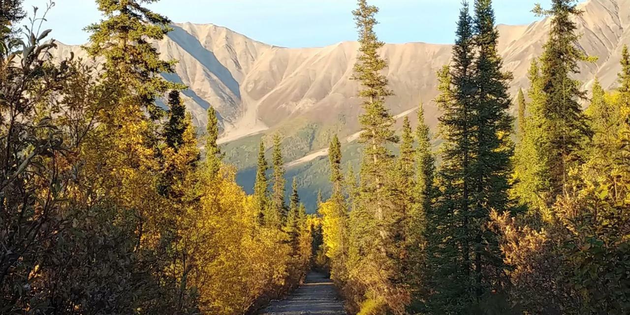 Blackburn Cabins - Mccarthy, Alaska Exterior photo